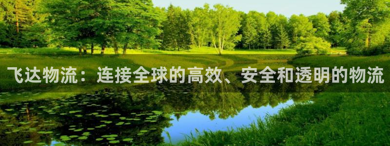 旺财28百度百科：飞达物流：连接全球