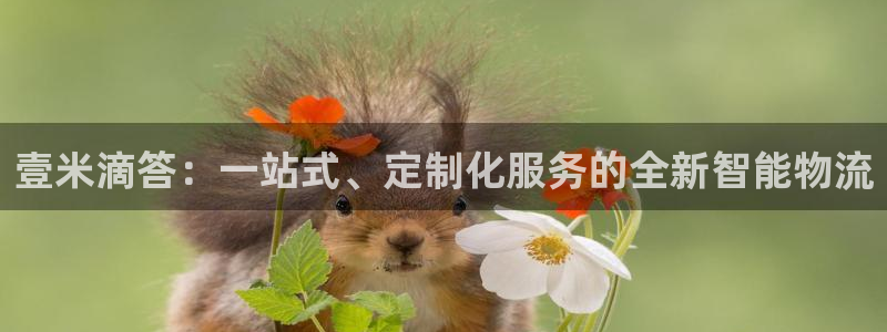 旺财28注册与教程：壹米滴答：一站式