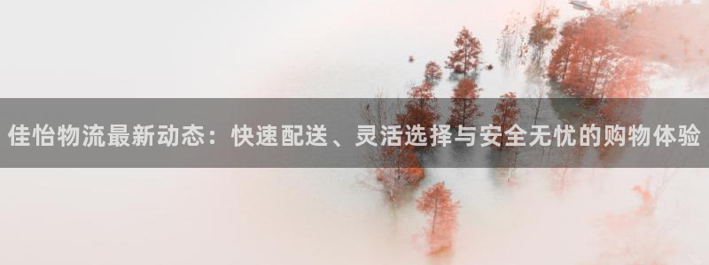 旺财28p扣款什么意思：佳怡物流最新动态：快速配送、灵活选择