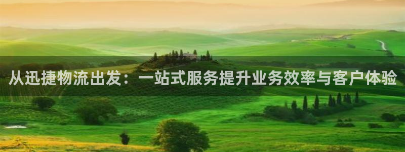旺财28p扣款什么意思