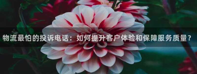 旺财28登录网:物流最怕的投诉电话: