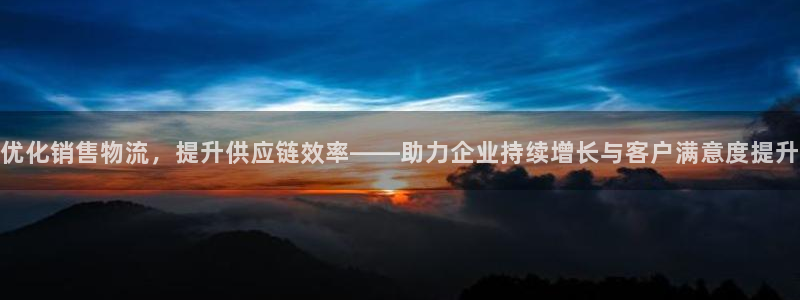 旺财28黑不黑：优化销售物流，提升供