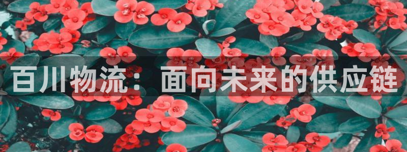 旺财28aPP退款：百川物流：面向未来的供应链
