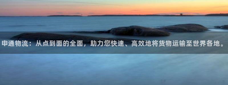 旺财28官方版正版:申通物流:从点到