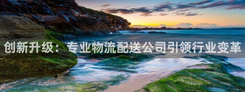 旺财28口内径是多大：创新升级：专业