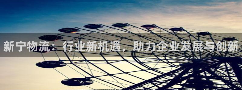 旺财28p扣除是什么意思：新宁物流：