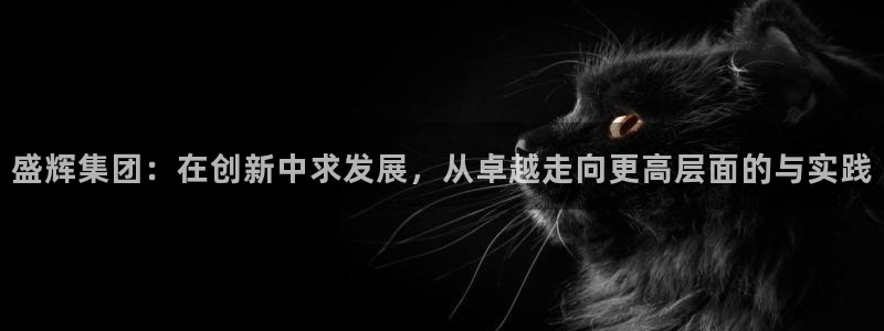 旺财28赌博软件正规吗：盛辉集团：在