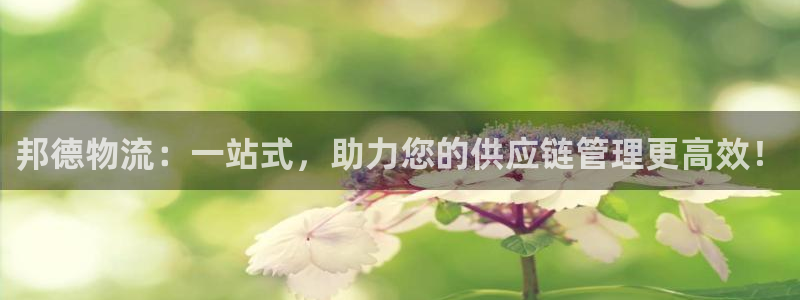 加拿大旺财28数字规则：邦德物流：一站式，助力您的供应链管理
