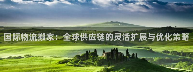 旺财28下载链接是多少：国际物流搬家