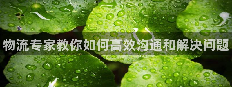 旺财28忘记账号：物流专家教你如何高