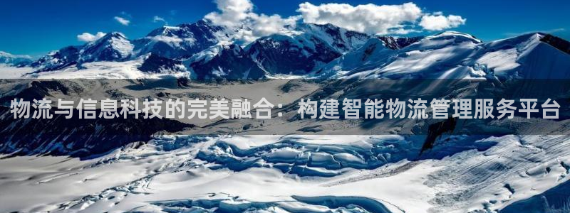 旺财28黑吗：物流与信息科技的完美融