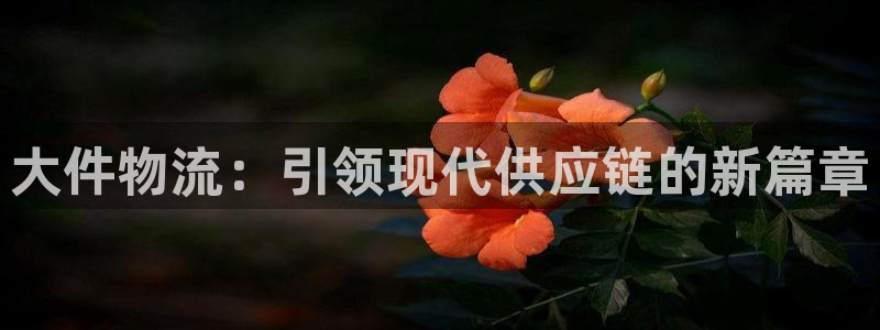 旺财28官网入口2024：大件物流：