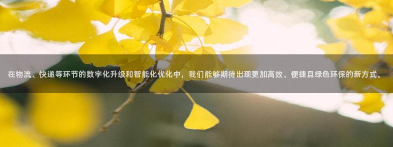 旺财28p扣除：在物流、快递等环节的数字化升级和智能化优化中