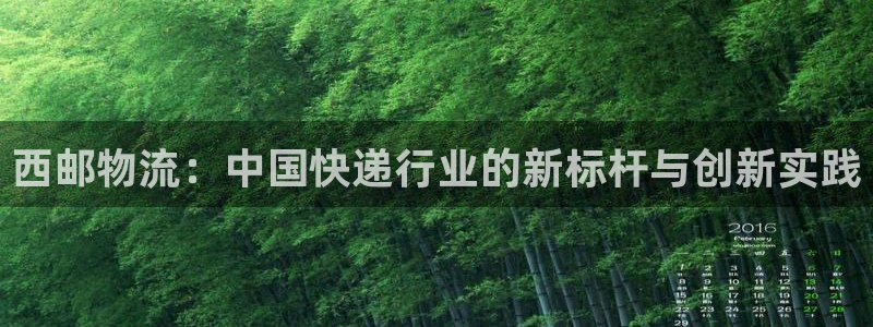 旺财28官方版网站：西邮物流：中国快