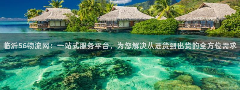 旺财28是南宫旗下的吗：临沂56物流