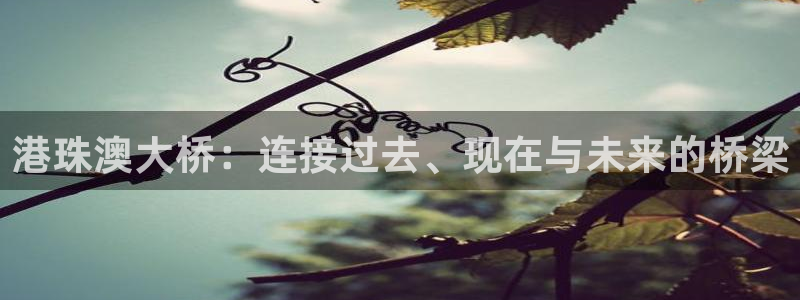 旺财28官网下载加拿大：港珠澳大桥：