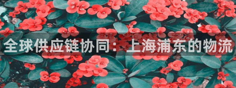 旺财28注册地址：全球供应链协同：上