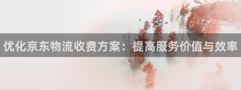 旺财28注册号：优化京东物流收费方案