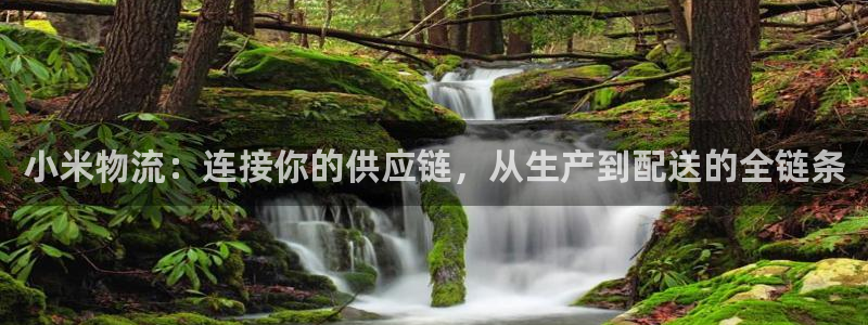 旺财28推广链接是多少钱一个：小米物
