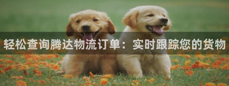 旺财28链接多少：轻松查询腾达物流订