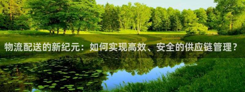 旺财28辅助：物流配送的新纪元：如何