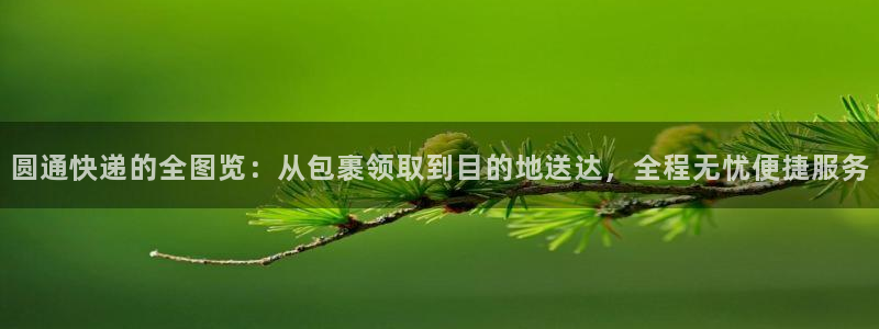 旺财28注册链接入口：圆通快递的全图