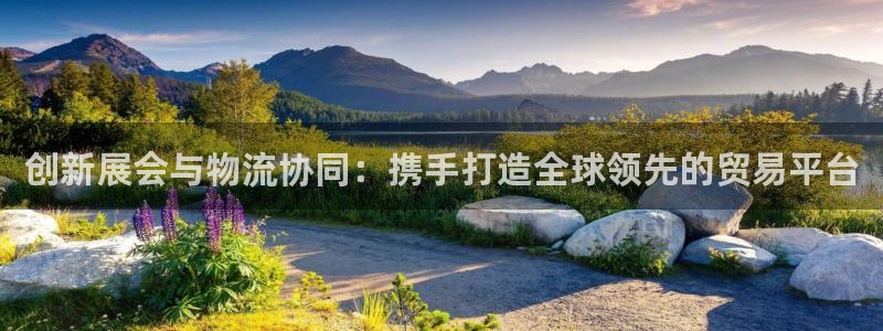 旺财28龙虎:创新展会与物流协同:携