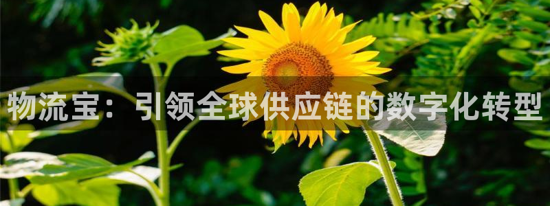 旺财28百度百科：物流宝：引领全球供