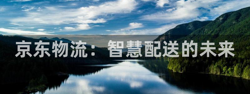 旺财28怎么下载不了:京东物流:智慧