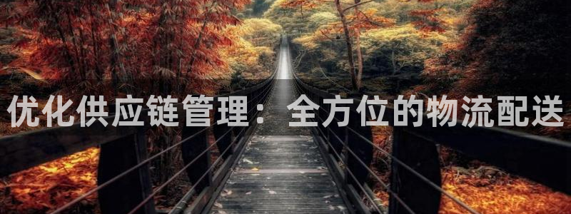 旺财28v6能卖多少