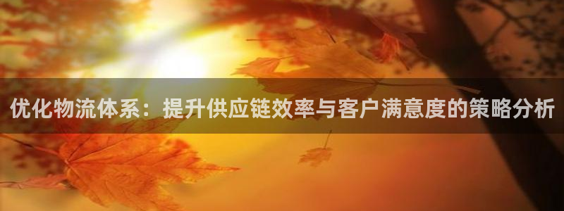 旺财28官网入口pc预测：优化物流体