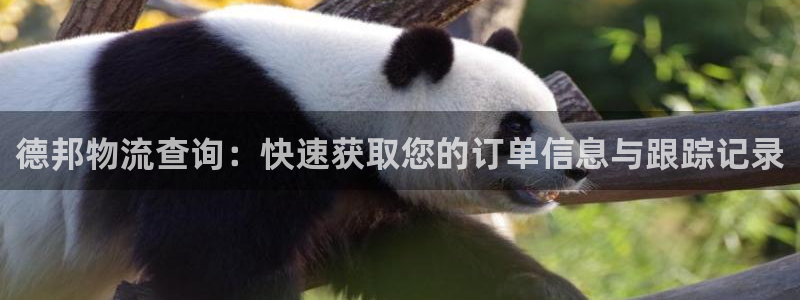 旺财28怎么下载：德邦物流查询：快速