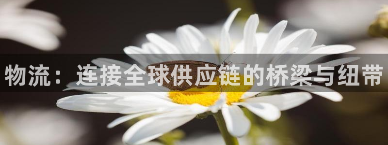 旺财28登陆网：物流：连接全球供应链
