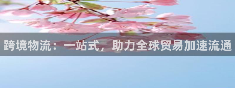 南宫旺财28官网：跨境物流：一站式，