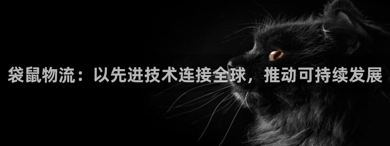 旺财28连输10天：袋鼠物流：以先进技术连接全球，推动可持续